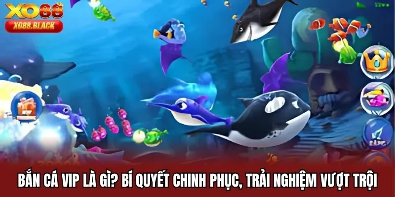 Bắn Cá VIP Là Gì? Bí Quyết Chinh Phục, Trải Nghiệm Vượt Trội