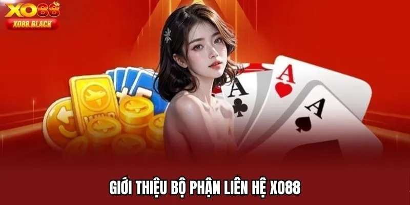 Đội ngũ liên hệ XO88 làm việc chu đáo nhận nhiều lời khen