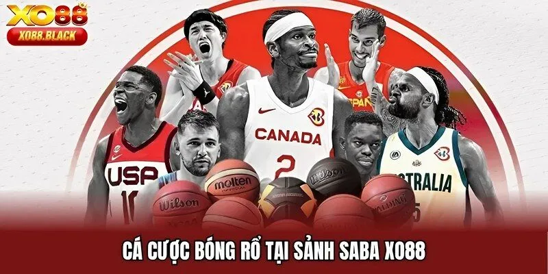 Cá cược bóng rổ tại sảnh SABA XO88