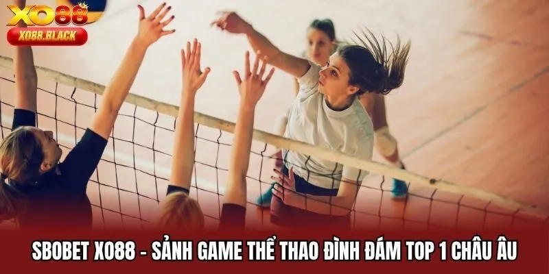 SBOBET Xo88 - Sảnh Game Thể Thao Đình Đám Top 1 Châu Âu