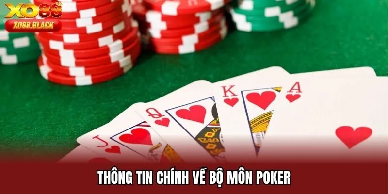 Thông tin chính về bộ môn Poker